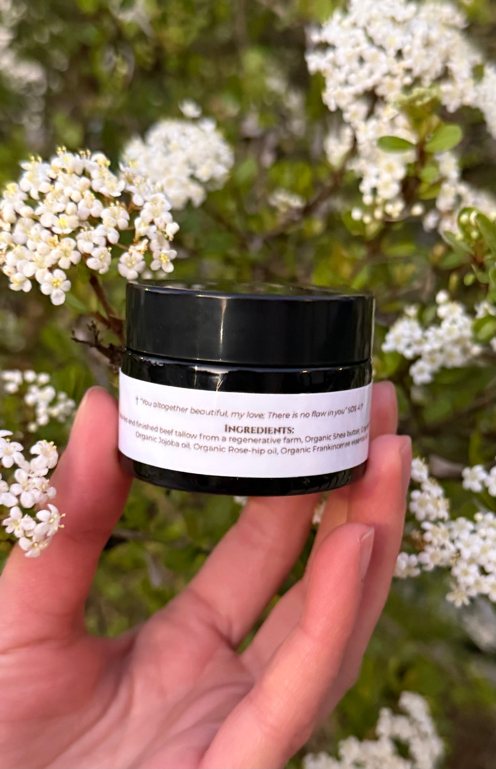 A hand holds a black cosmetic jar featuring a white label with organic ingredients like beef tallow and jojoba oil, set against a soft focus outdoor background of white flowering blossoms and vibrant green leaves